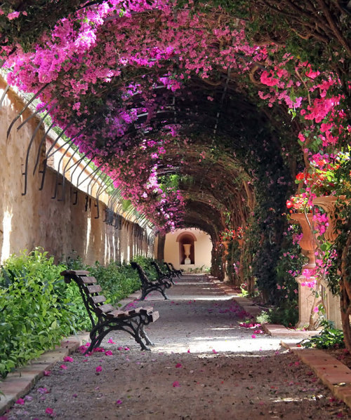 yulinkuang:  boredpanda:  15+ Of The World’s Most Magical Streets Shaded By Flowers And Trees  FLOWE