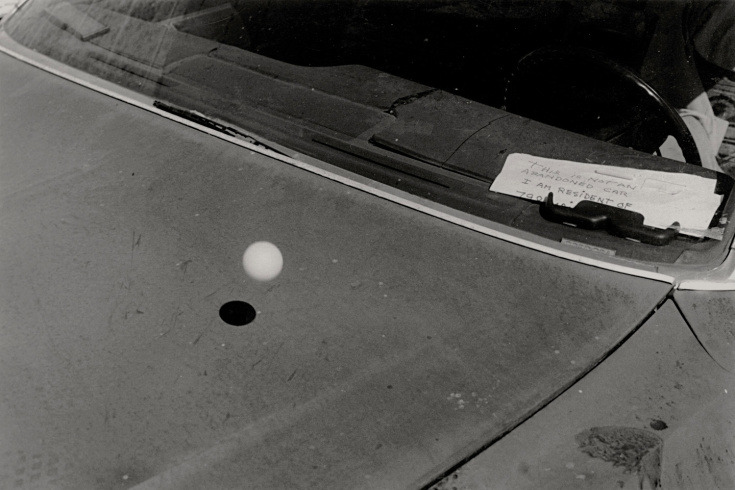 loverofbeauty:  Paper, Ping Pong and Spilled Milk:   Robin Maddock’s   Absurdist