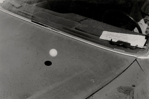 loverofbeauty:  Paper, Ping Pong and Spilled Milk:   Robin Maddock’s   Absurdist California Portraits