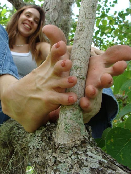 feet-fiend:your welcome,  Marilyn Reese’s size 12 feet, tree photo set,wish my cock was that branch 