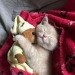 happyheidi:
