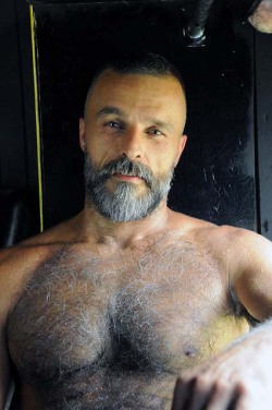 Expressive eyes, great beard, and a nice hairy chest - WOOF