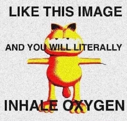 teathattast:😤