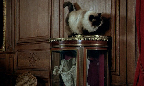 The Beast (Walerian Borowczyk, 1975)