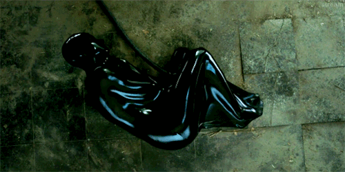 stream:The Girl in the Spider’s Web (2018) | dir. Fede Álvarez