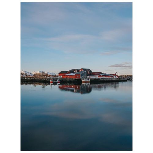 My corner of Lofoten ✌️ . . . ———————————————————— #laukvik #lofoten #myfairytale #nowherediary #myt