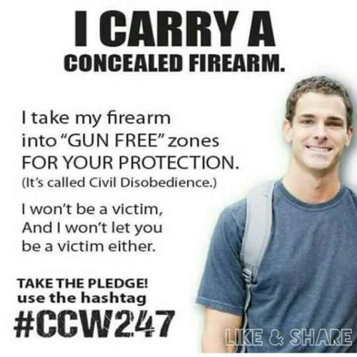 #ccw247