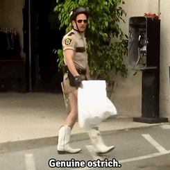 akuicnhialic:  bareback-bieber: I don’t understand this…is this heterosexual ?  