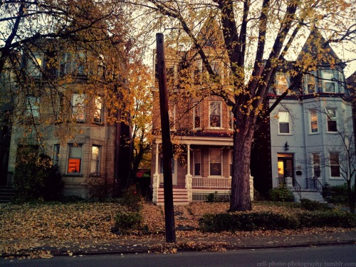 cell-phone-photography:Fall in North Oakland by Melanie Stangl