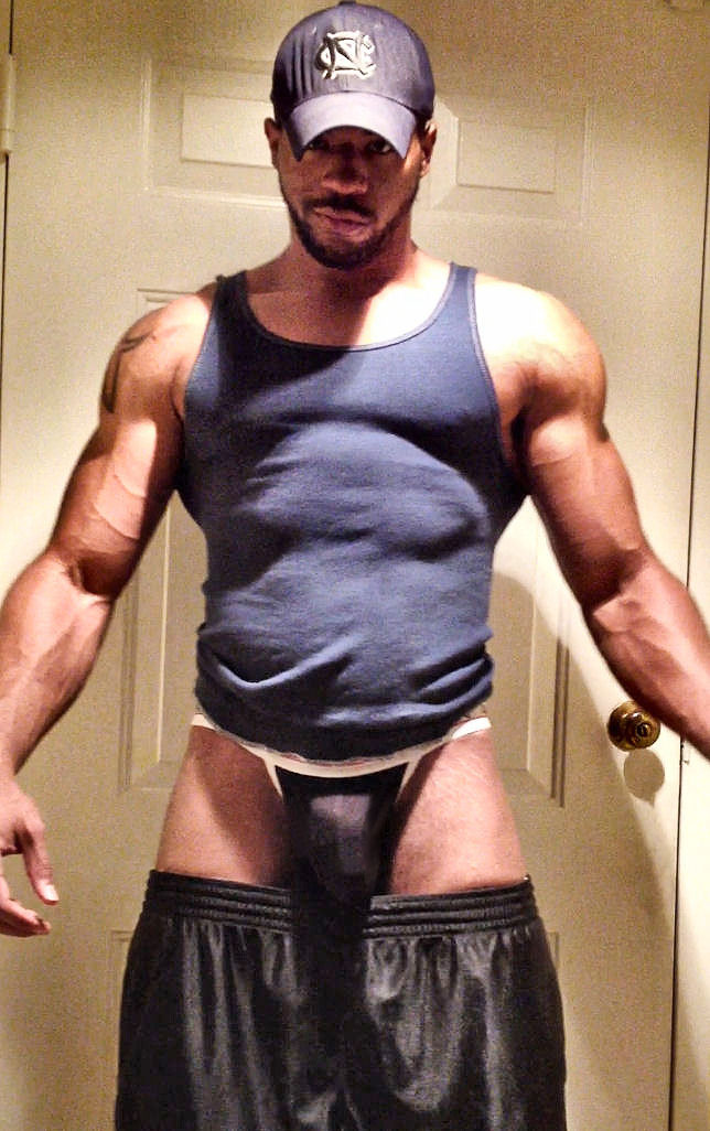 gottagetbeefy:  Beefy Submission 
