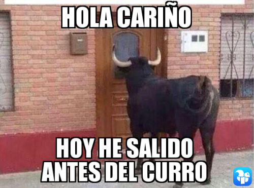 puertaycalle:  Memes de T_D_S P_T_S made in forocoches El hilo 
