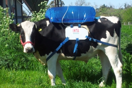 Not the Onion: Researchers trying to control cow gas to stop global warmingFacepalm. read the rest