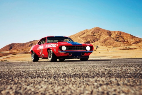theoldiebutgoodie:  1969 Chevrolet Camaro Z/28 Trans Am Spec. 