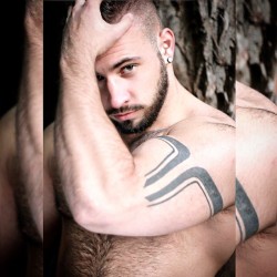 Oliviero 4 hairy!