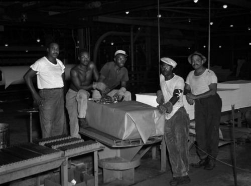 Sheet bailing crew working in Hopewell, Virginia. July 1955.(The Library of Virginia)
