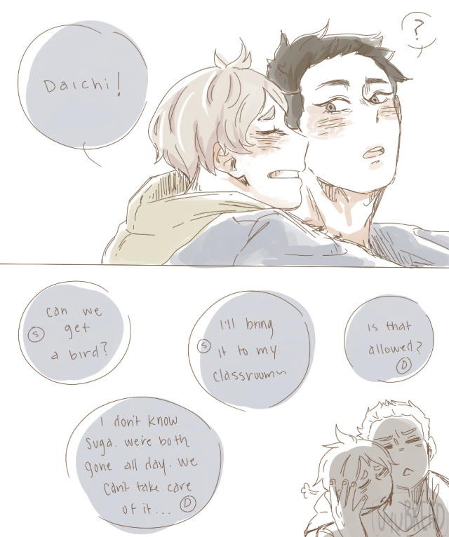 Sugawara X Daichi On Tumblr