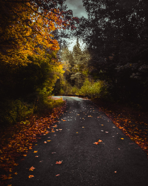 Oregon - Autumn RoadOctober 2017