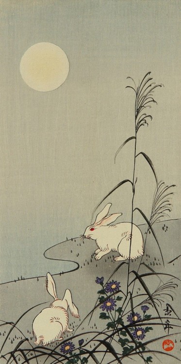 slothman-1:  the-evil-clergyman:  Two Rabbits in the Moonlight by Imao Keinen (Early 20th Century)   For you @slothgirl6 🐰   You know my love of bunnies @slothman-1 