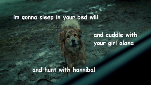 arubajamaicas:  a man’s best friend 