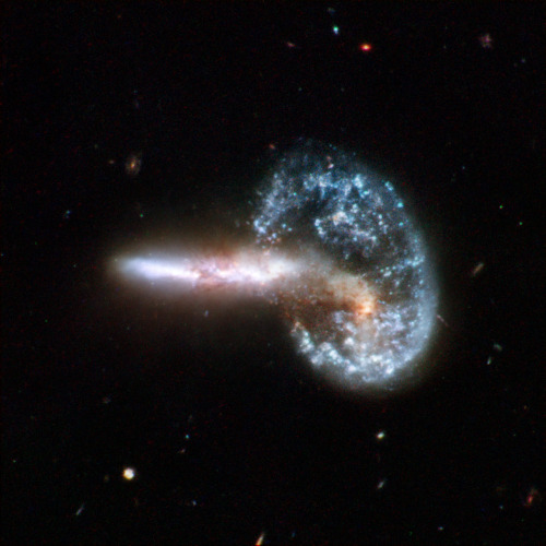 startswithabang: Top 10 Bizarre Galaxy Pairs From Hubble“The Arp catalog illustrates galaxies in m