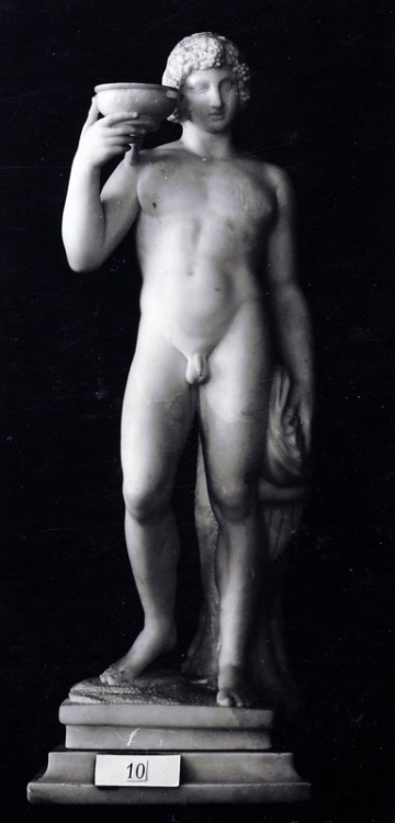 artist-michelangelo:  Backus, Michelangelo Buonarroti, Nationalmuseum, SWEHelfigur stående, fas huvud vänster, lockigt hår med vindruvsranka. Naken. Håller med den högra handen upp en skål. Den vänstra armen längs sidan, handen hållen i ett draperi,