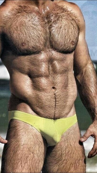 hyper-masculine:    ► HYPER-MASCULINE ♂ ◄ [page]♂ ♂♦ Hyper-Masculine ARCHIVE ♦ [all pics]     Hairy, sexy, great pecs and awesome bulge - WOOF