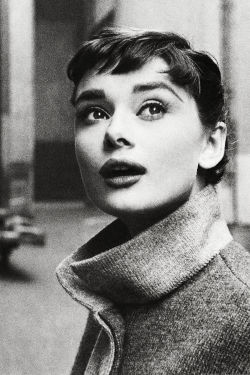 vintagegal:  Audrey Hepburn photographed by Mark Shaw, 1953 