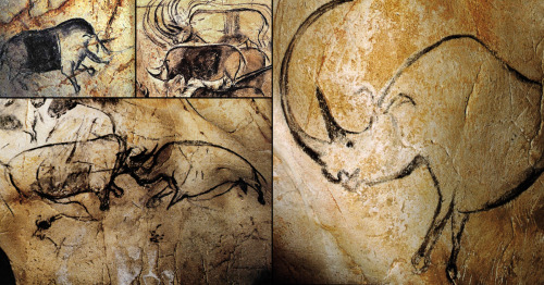 Chauvet CaveThe Chauvet cave is located in southeastern France in the department of Ardèche. 