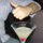 dinnersmeal  replied to your post “Hmm