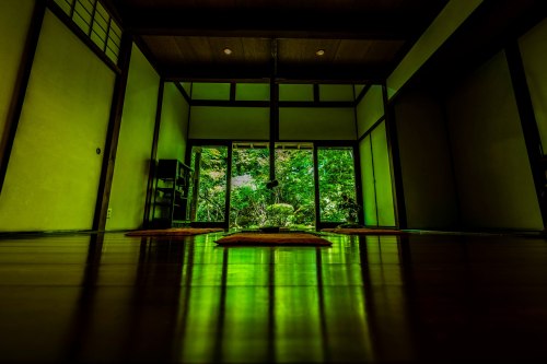 Soothing scenery at the Hosenin temple (Kyoto), by @v0_0v______mkI just love how smooth and shiny th