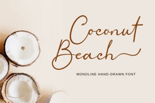 Coconut Beach Hand drawn Script Font by twinletter