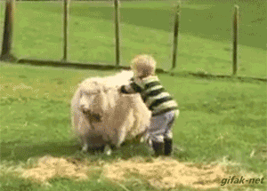 funnygifs-funnygifs-funnygifs:    ———————- Twitter - Instagram - Facebook