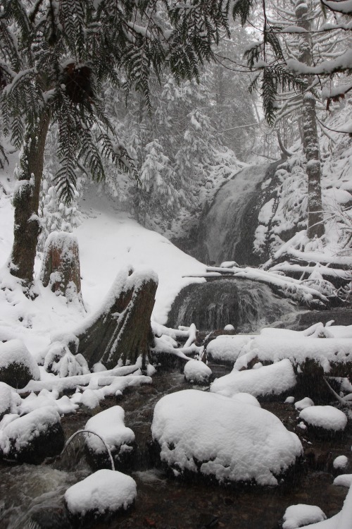 burningmine:Coal Creek Falls, two weeks apart.