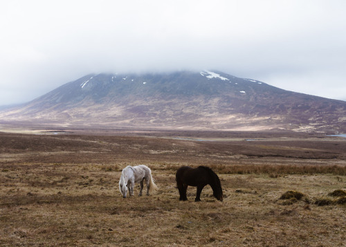 Ben Alder and surrounding range, Scotland. May, 2018.