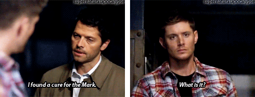 dean-and-the-gay-angel-man:supernaturalapocalypse:thanatosdorklordofall:supernaturalapocalypse:Seaso