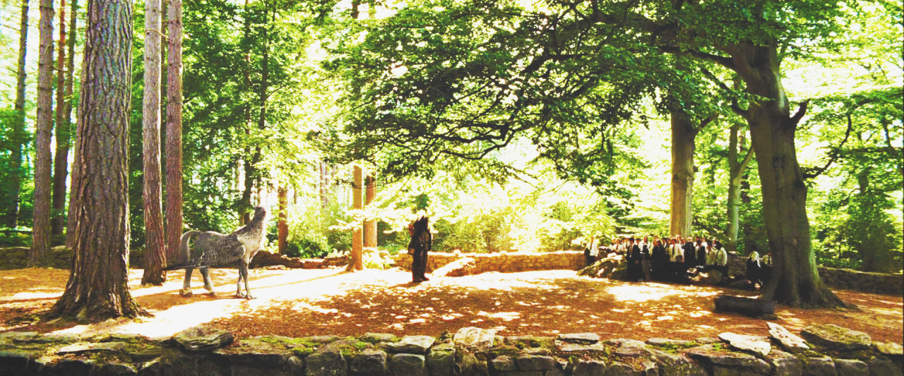 potterandgranger:  Harry Potter and The Prisoner Of Azkaban + Scenery. 