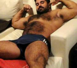 BACKFUR - Hairy/bear/horny/daddy