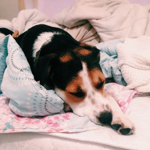 v-ayne:  kairi’s taking a nap while i do editing for my youtube video:)