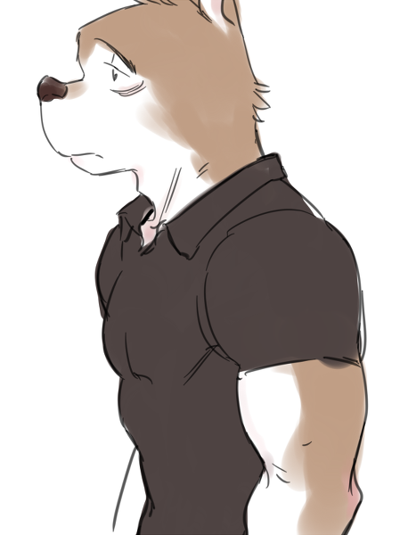 Used Ragdoll