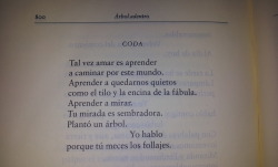 eljujeniodeletras:  Octavio Paz, “Carta