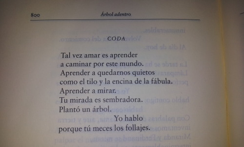 Porn eljujeniodeletras:  Octavio Paz, “Carta photos