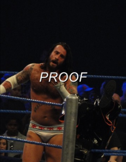 rwfan11:  CM Punk- bulge (*not my pic)