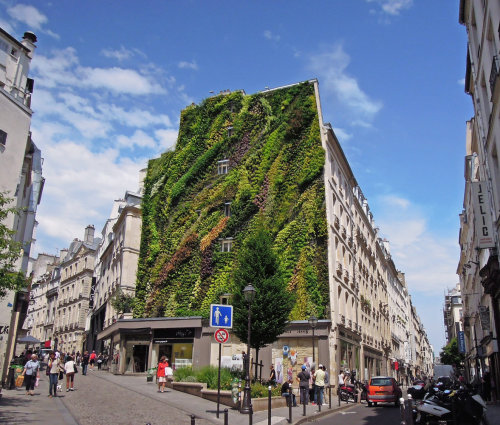 lustik:L’Oasis d’Aboukir, Paris - Patrick Blanc  via HUHLustik:  twitter | pinterest | etsy