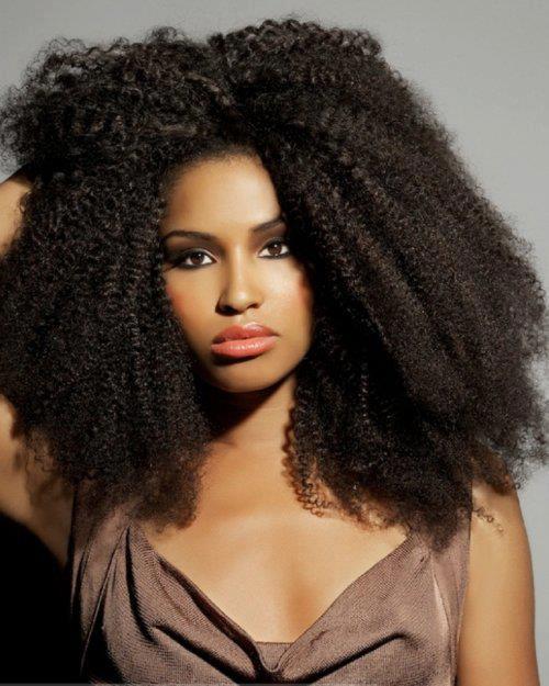 Afro kinky curly human hair wig