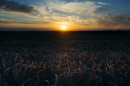 This &amp; That ~ Oklahoma, USA. It&rsquo;s amazing what 10 minutes can do.