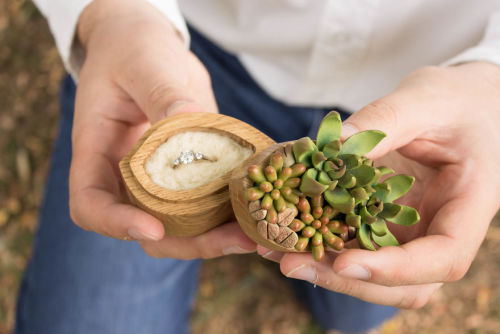 starshine813: toonskribblez: wordsnquotes: Stunning Ring Boxes Look Like Real Life Lush Succulent Pl