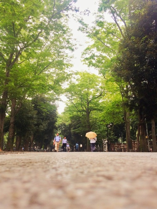 ” Misty rain, Mystic way… ”