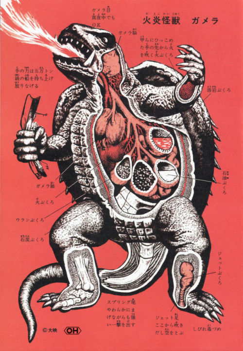 Shoij Otomo and Shogo EndoAn Anatomical Guide to Monsters: Gamera, Godzilla, Gappa, Mothra Larva, An