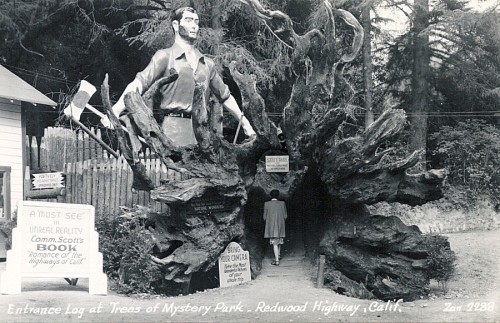 “Entrance log at Trees of Mysteries Park - Redwood Highway, Calif.” Nothing says welcome