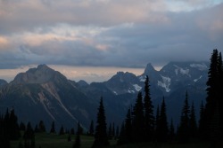 jenifir-juniper:End of the day in Mount Rainier National Park